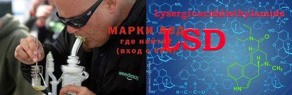 молекула духа Нефтекумск