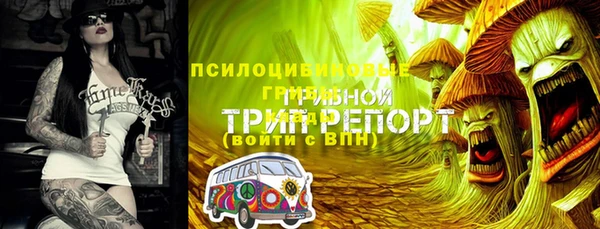 альфа пвп Нея